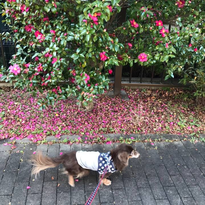 Bdc4314d 7676 473f aa69 40b5cdf94b6a 1577940747014