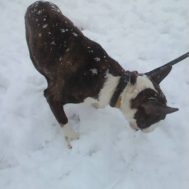 Bdc44928 276e 4e40 9efe 797a72659cf9 1585453175313