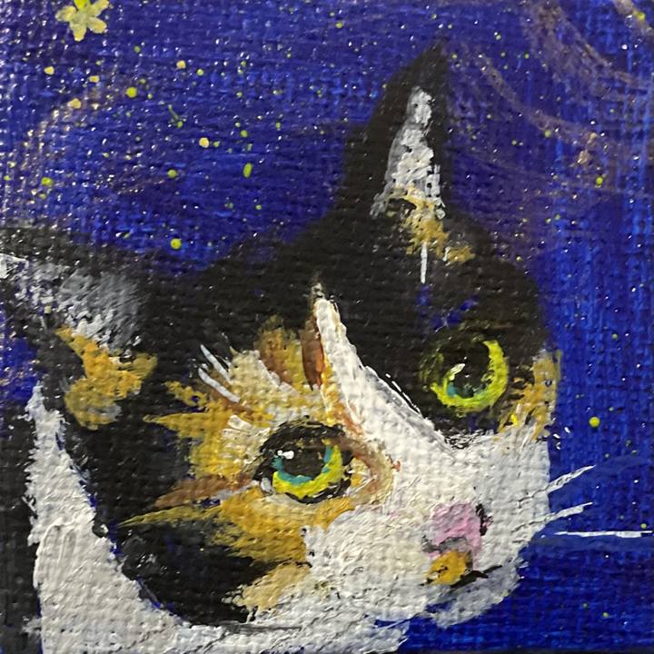 Bdc508d5 a574 4185 897b 20cbcfb4ce22 1735028761072