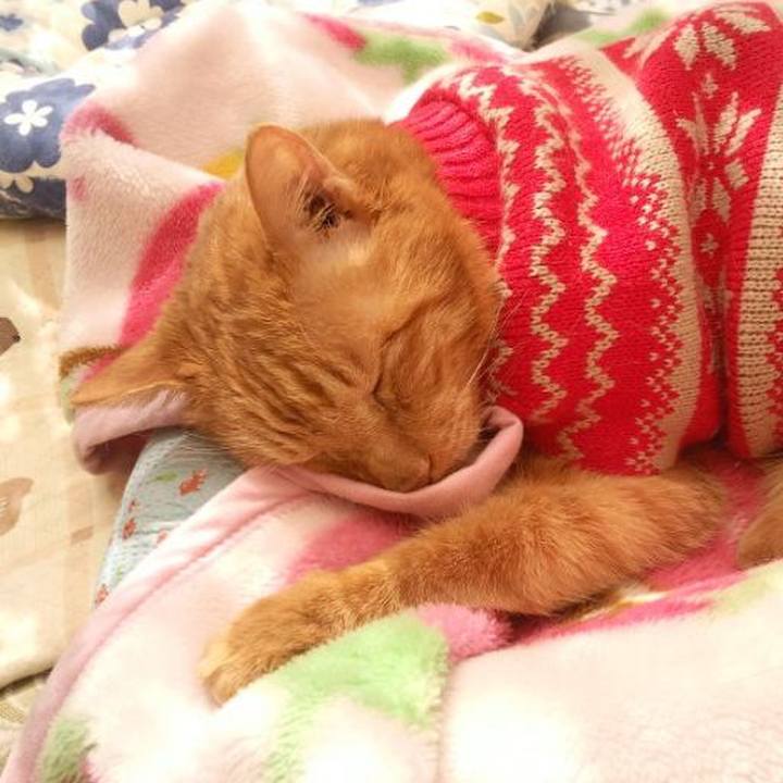 Bdc517a1 376f 4e47 acd4 bc510c0614a8 1678400725530