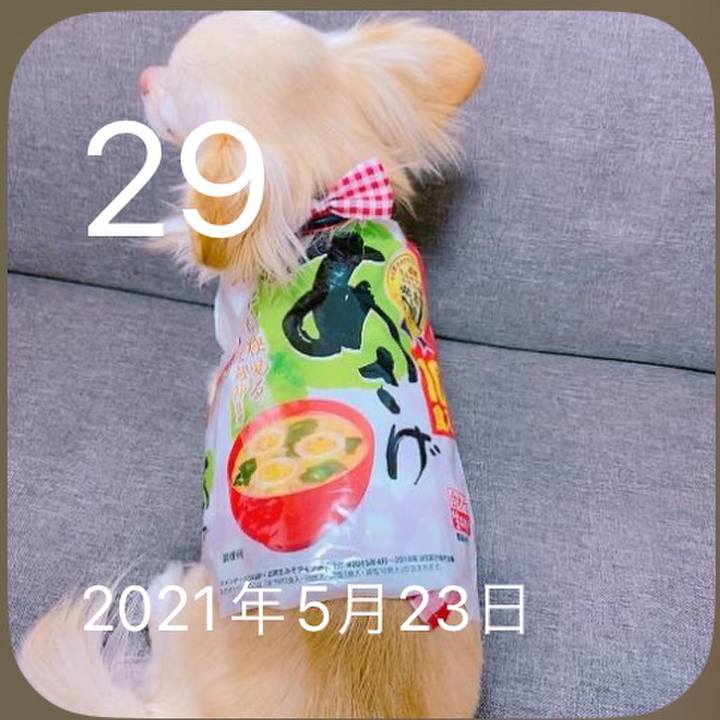 Bdc51aac 1d6e 4dd3 b9dd 812e9e44e9e6 1685351472625