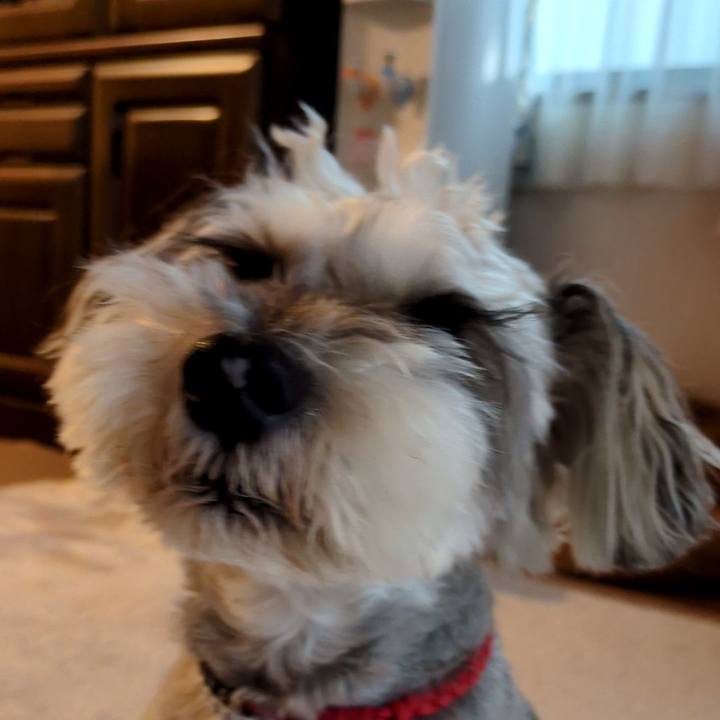 Bdc52b2b e177 4f0e a405 ed8af3ada4cf 1758811866096