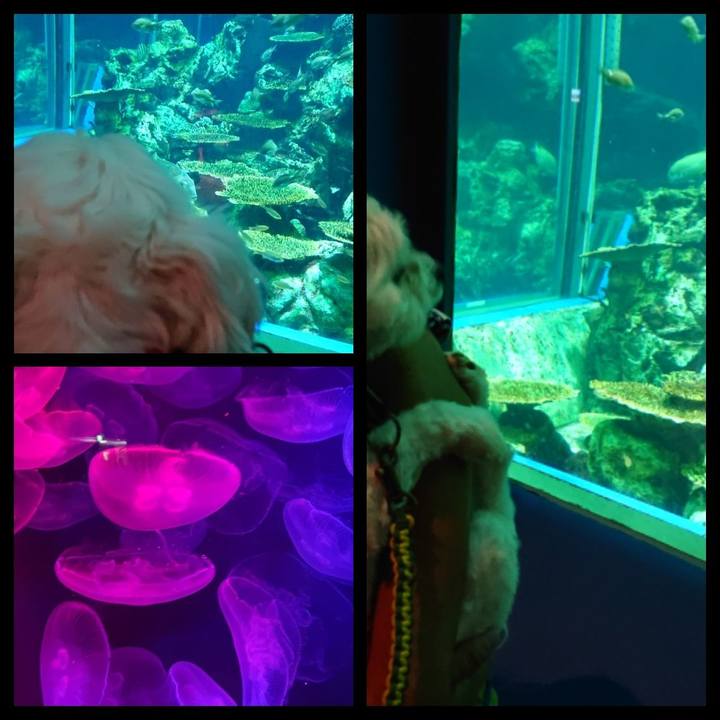 Bdc53019 49de 4cf4 840e 061b39373839 1534241509005