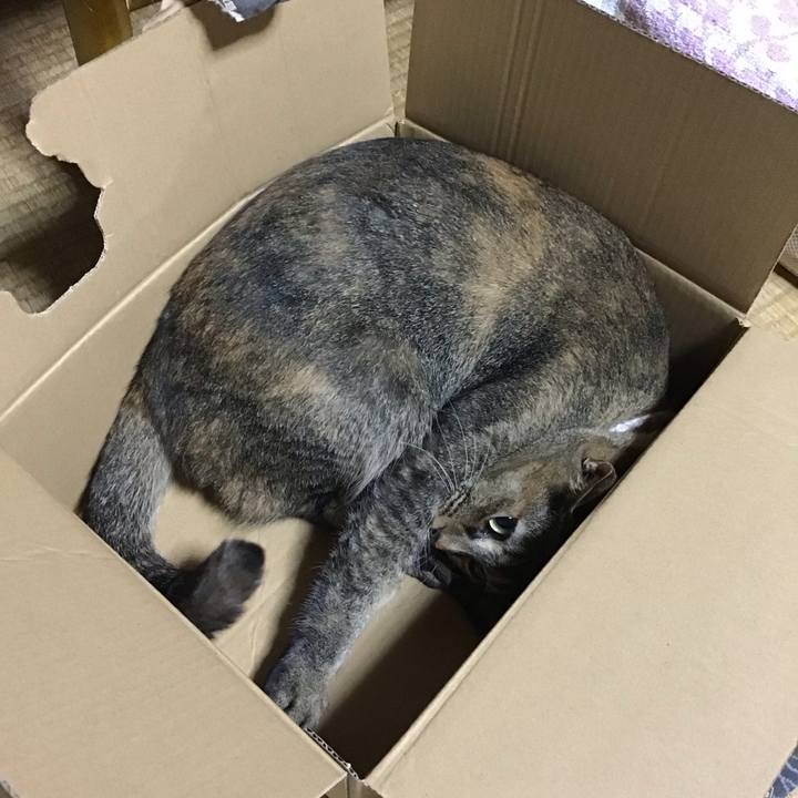 Bdc5336e 9ac8 48de 90b9 7f037a655de2 1660297563782