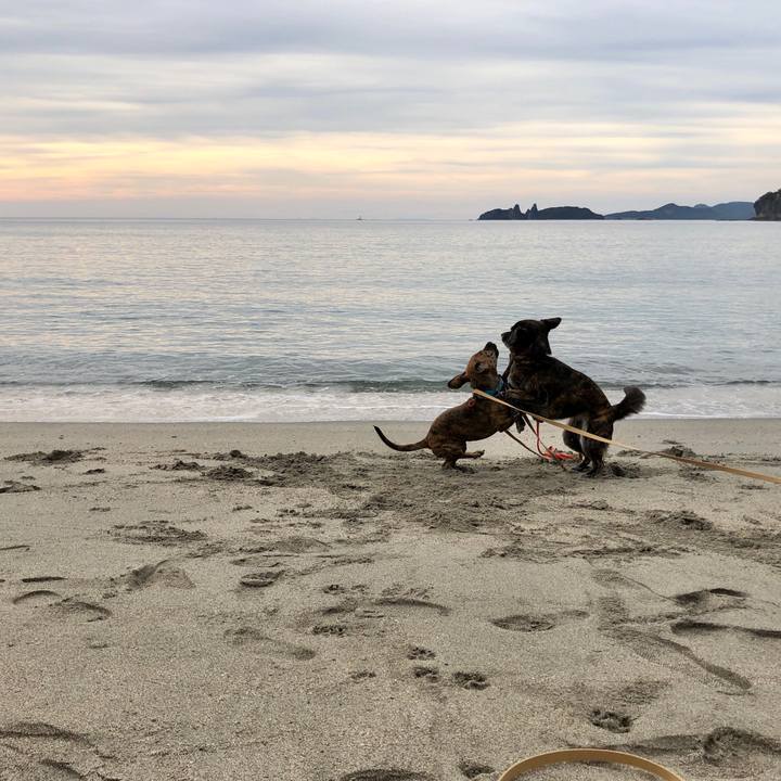 Bdc57642 5e63 484f 9452 cd3191e68dcf 1571582417819