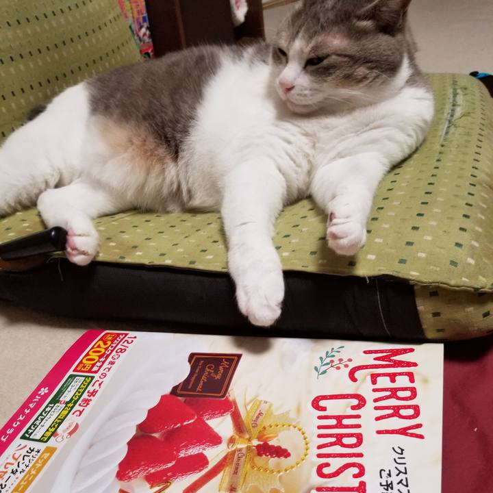 Bdc57dd5 9d87 4ba4 b582 3108608a4b13 1637148125510