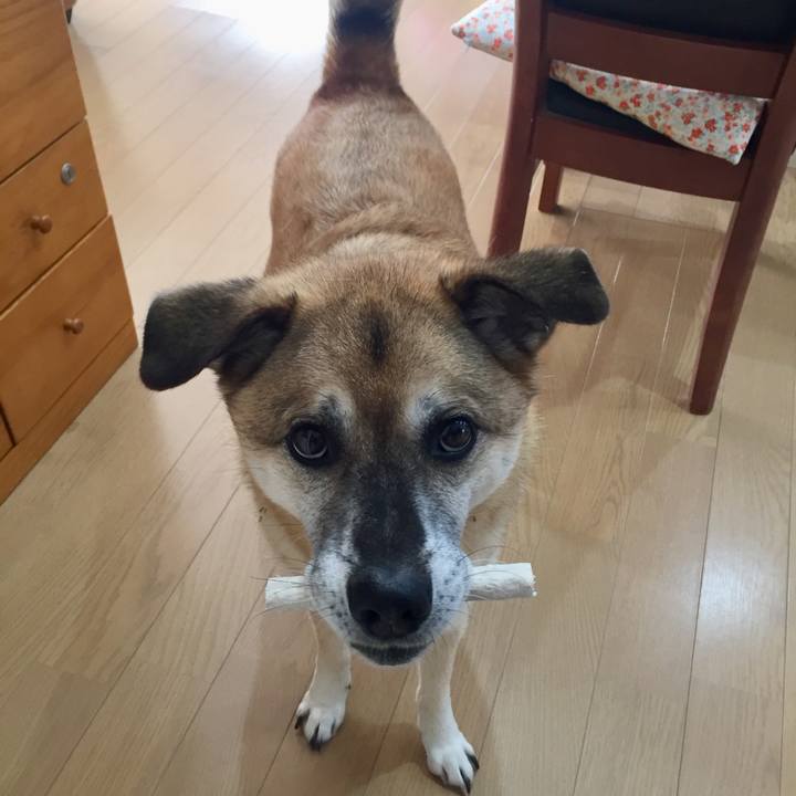 Bdc58719 1b1b 447a aaaa 5f41ea9afadf 1573776071370