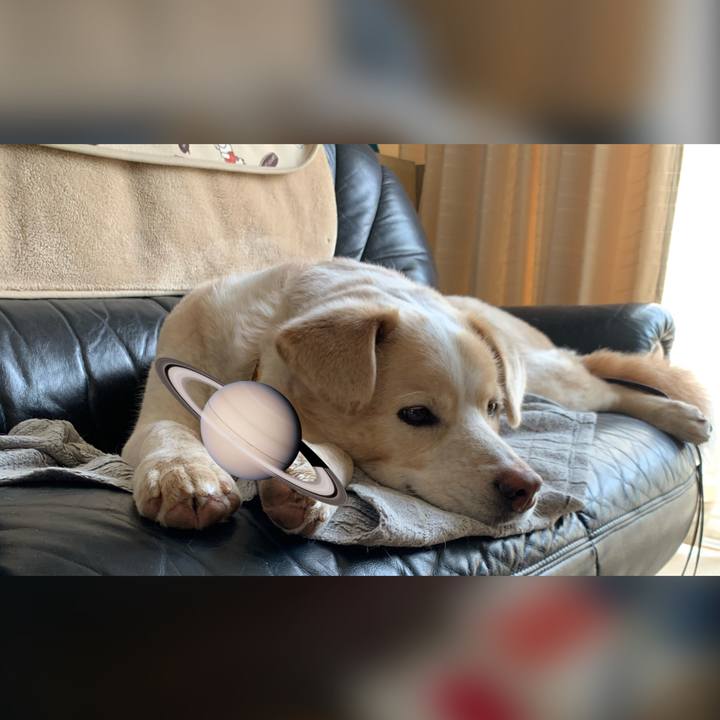 Bdc59f2b dfa7 4d0e 9f54 be5cb39f38a0 1585816776939