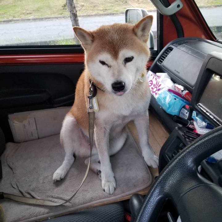 Bdc5c158 3121 4ef2 9fa6 5dbcb767ccfa 1663144996444