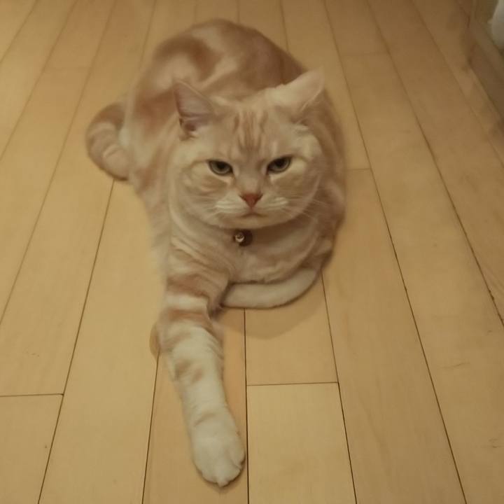 Bdc61216 c96a 4e4c b72c 132f6c8bbbc4 1547197827130