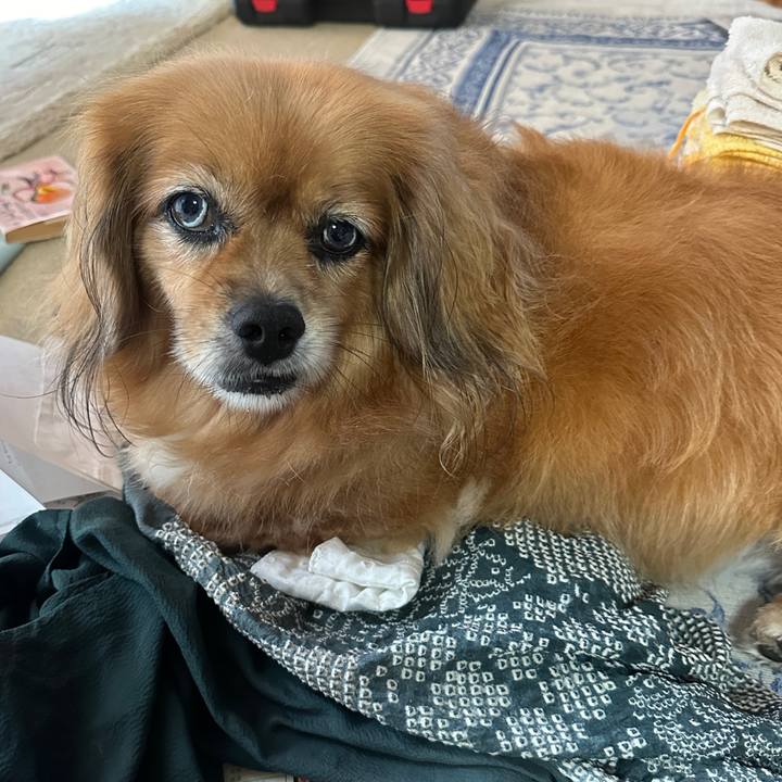 Bdc650b1 7b62 4b68 963c 12526392b627 1724965809655