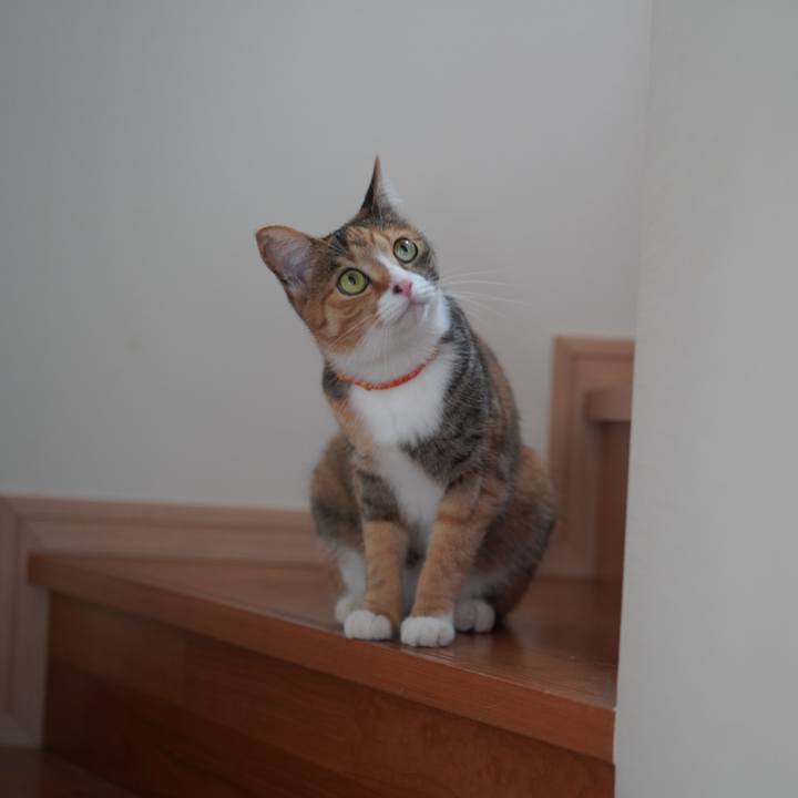 Bdc6c6e9 dd4b 4207 b6fc 5e8586ceb678 1622117439266