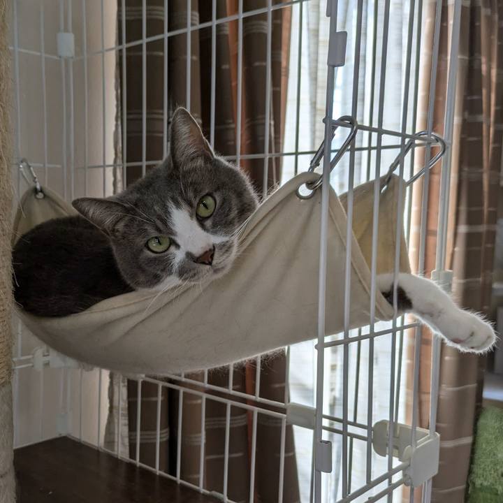 Bdc6ee84 15bf 4131 982b fc1971e3cfef 1729392681843