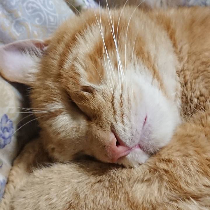 Bdc6f38d 1043 44e6 9768 528656809a0e 1654349307853