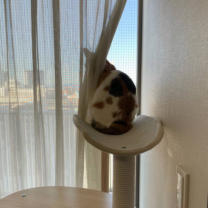 Bdc718d3 a7c6 4252 8a38 f09439ff6757 1612481763886