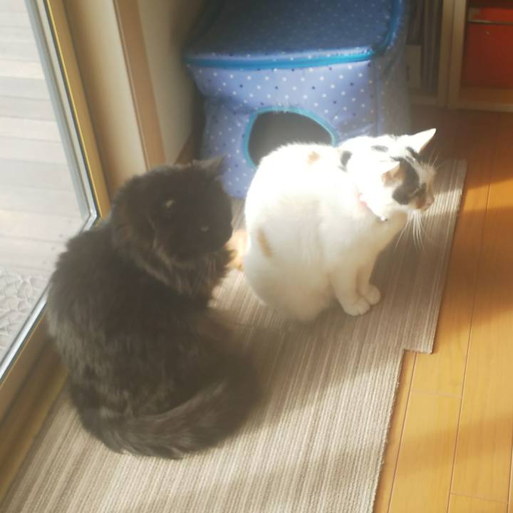 Bdc75ab1 6c83 455c 9fbb 6b5e8a77403d 1545700759037