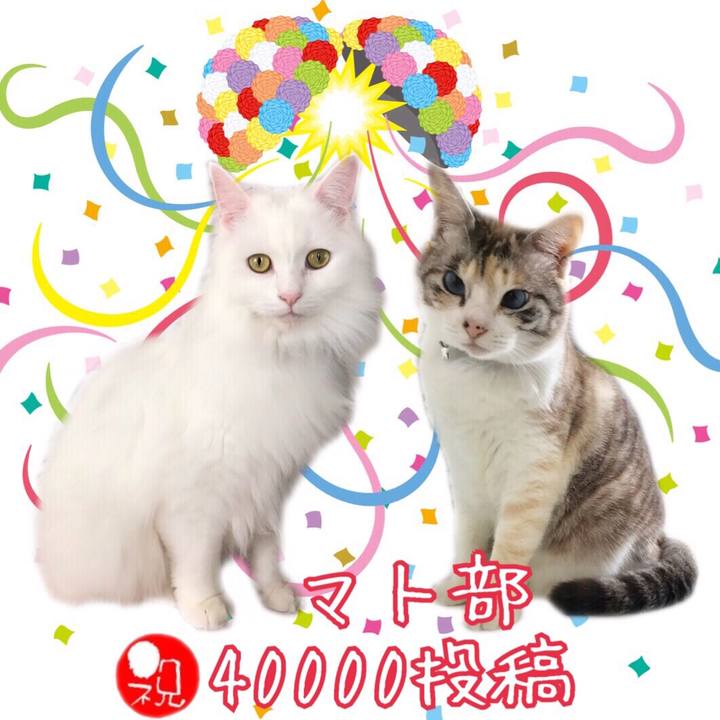 Bdc760b0 243b 43f5 ab15 e86468ca21b8 1555592815253