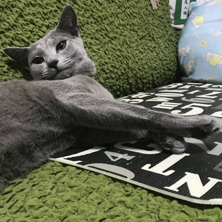 Bdc7d63d e087 439b b6a9 1268a19e822e 1529230118286