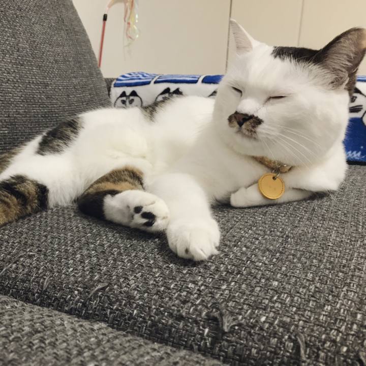 Bdc8046f d5d5 4e2b 836c c2a4e6d1cd63 1538707195829