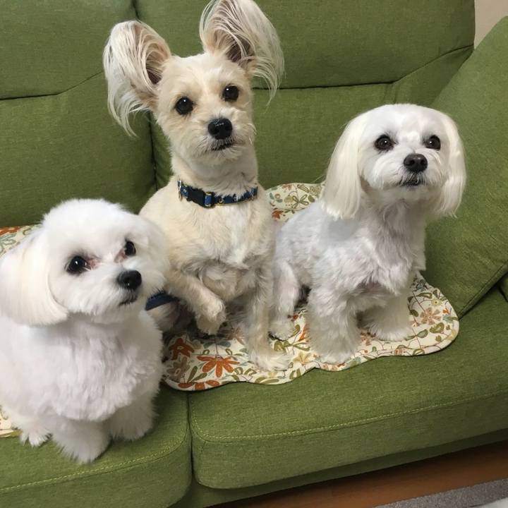 Bdc823b0 eacf 4279 8213 8df3a247b62d 1524653685504