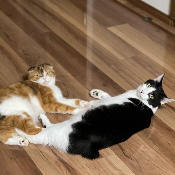 Bdc8247c f2b3 45ae 9d18 a2967d85e4bb 1691674734052