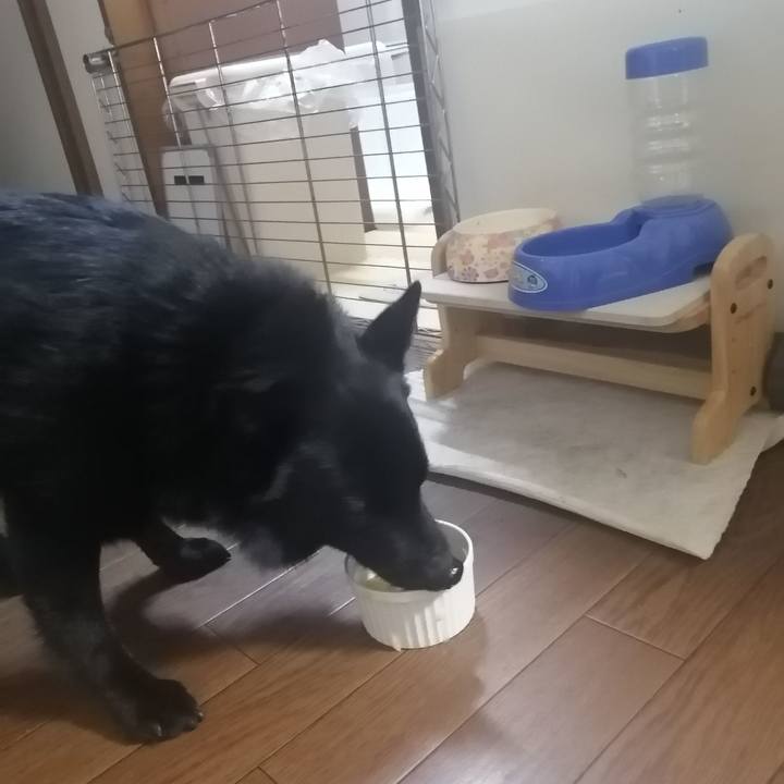 Bdc84e00 4119 470b ae25 f01eca7f2266 1620082111872