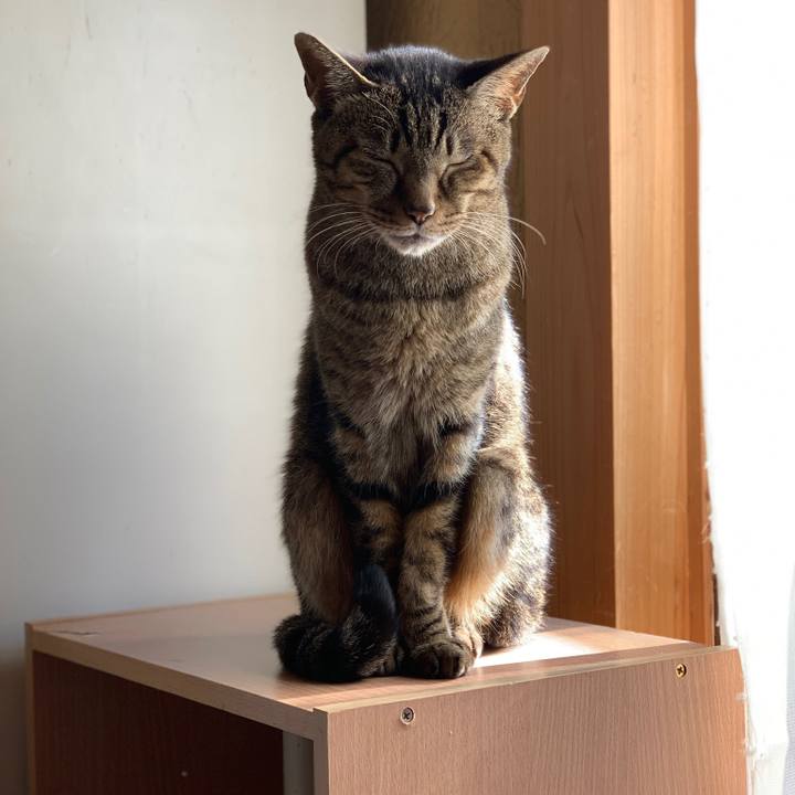 Bdc8d5d4 79f7 4dd9 89f2 5c7804a99e03 1578268952375