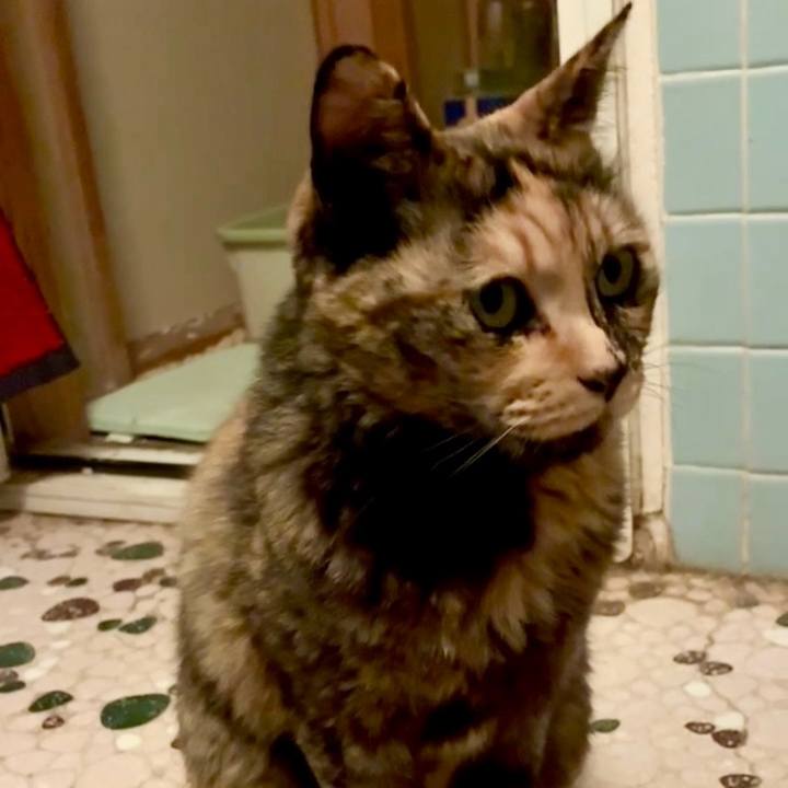 Bdc8e2c9 327e 4714 b8f4 3315254c6a04 1746563384746