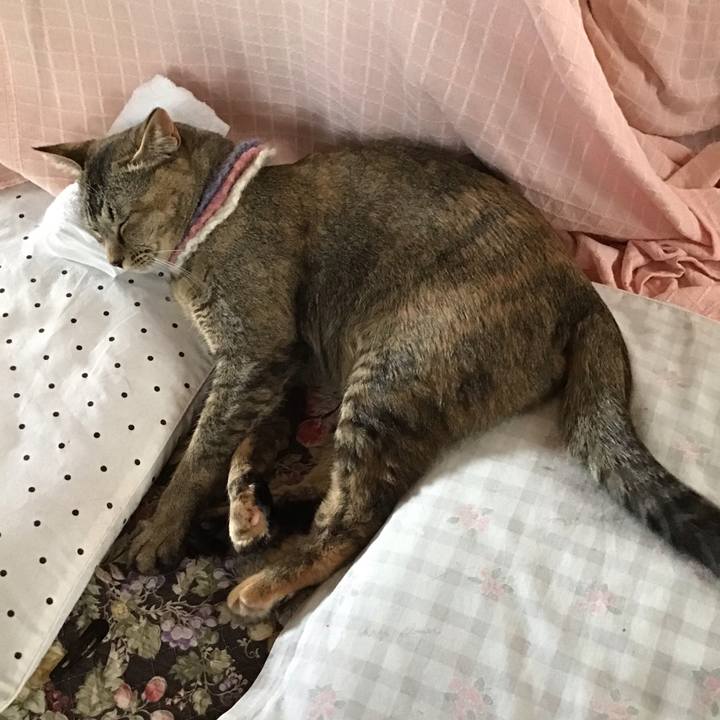 Bdc8ef2d f3e3 48a7 aa62 664960254cf5 1621834707534