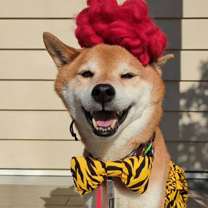 Bdc8f772 771a 4af1 89cb b22d2daccb31 1770021971801