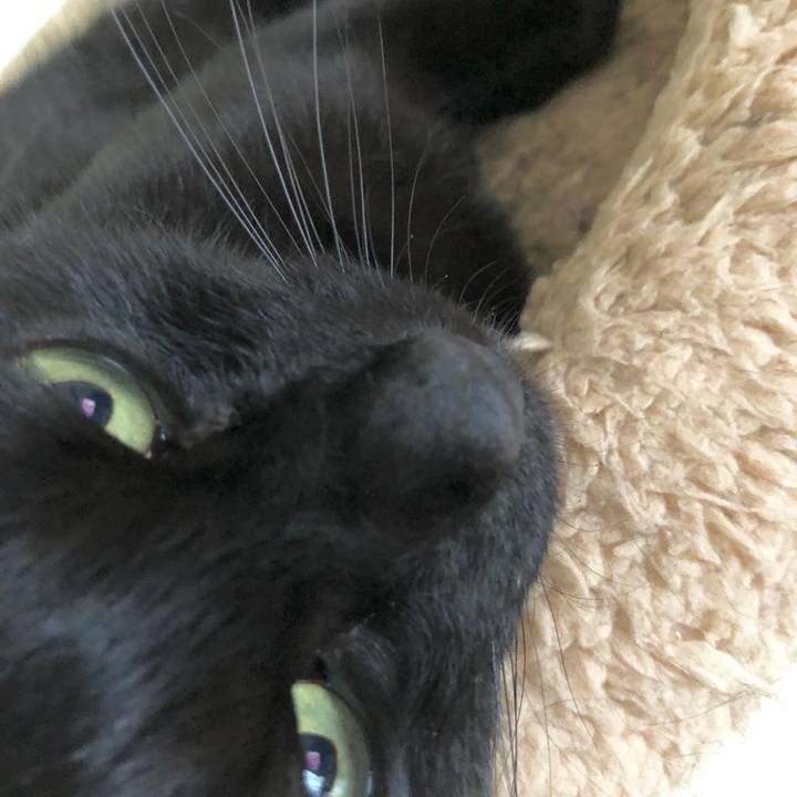 Bdc90058 70c0 408b aef6 600bc2b09ce2 1595039338197