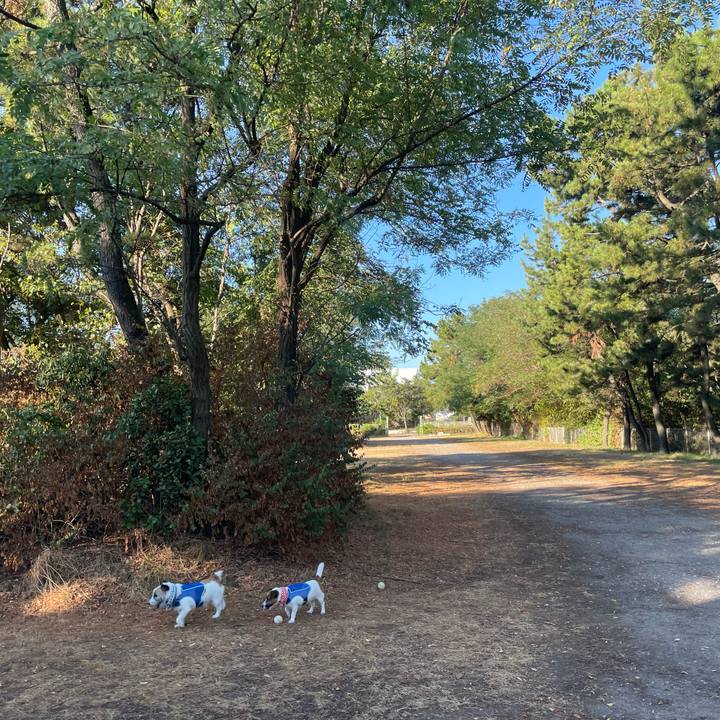 Bdc92368 6385 4e91 b902 225c82e7b913 1693264983017