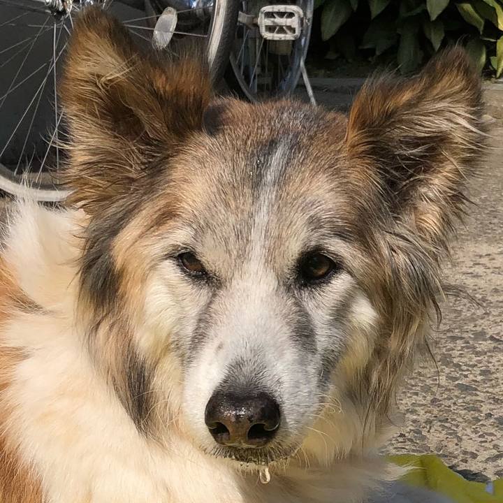 Bdc93998 c3bd 421f a448 6c76bbfa078a 1519444242495