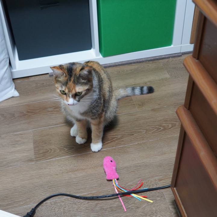 Bdc95e6e 5834 4da8 8d9b b239bf3d6555 1596756692258