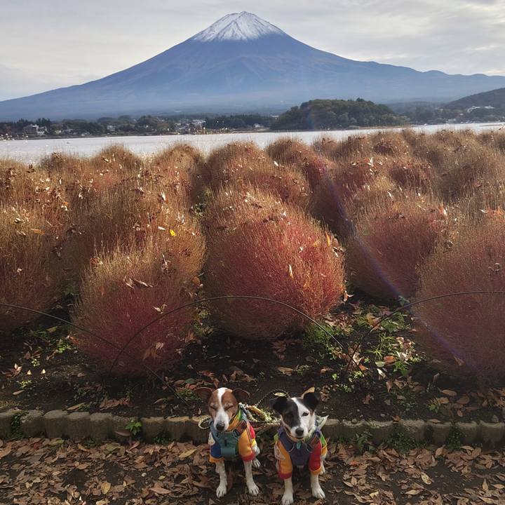 Bdc96ed1 1369 433e a72a 038fb07e2bf8 1762069531408