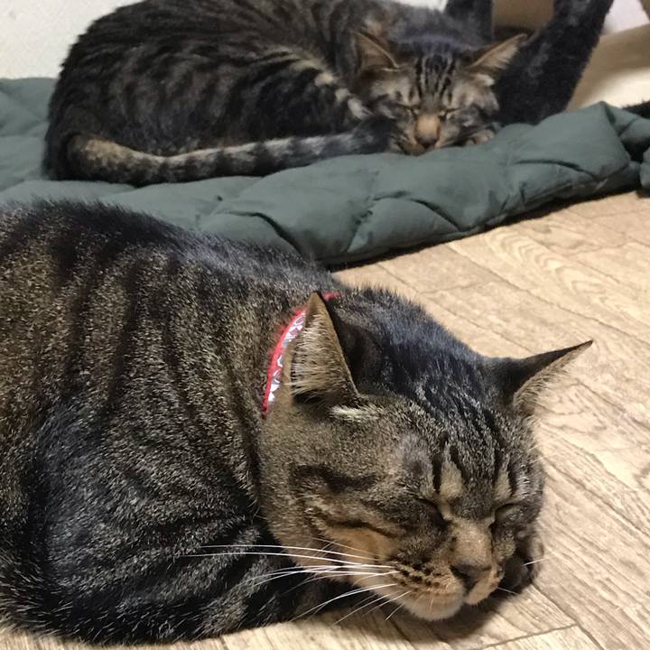 Bdc98b6b 0441 4897 9792 b43ed7fa4580 1582303330686