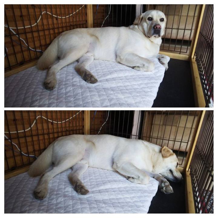 Bdc9c49f c1eb 4499 b287 257dc58a43f7 1558834062866