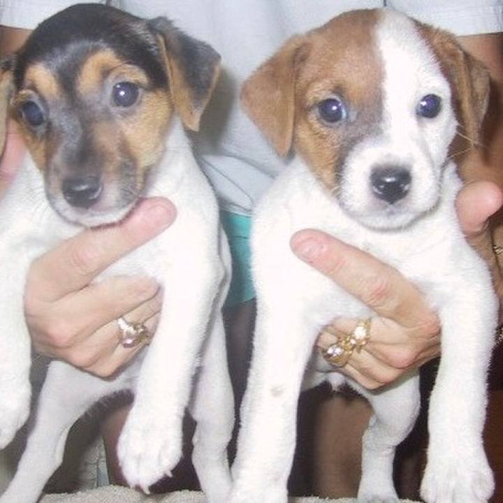 Bdc9e1b8 3072 4f01 8a84 2863178250db 1619156607572