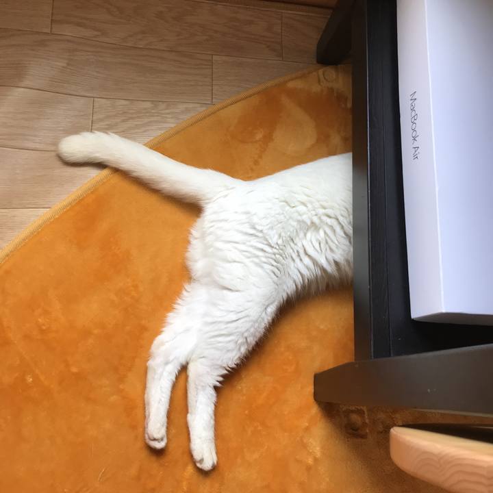 Bdca1b3d 31e9 4434 911d b13a0165e582 1531446811866