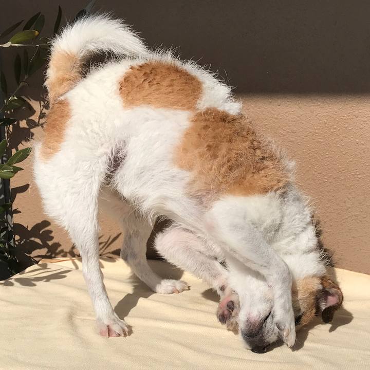 Bdca512a d33b 458b bf84 fcb33cfeab3e 1612668012140