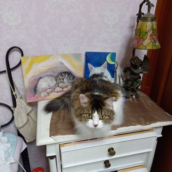 Bdca66f4 c3cf 4bba 860d 071f688b8fdd 1601199409722