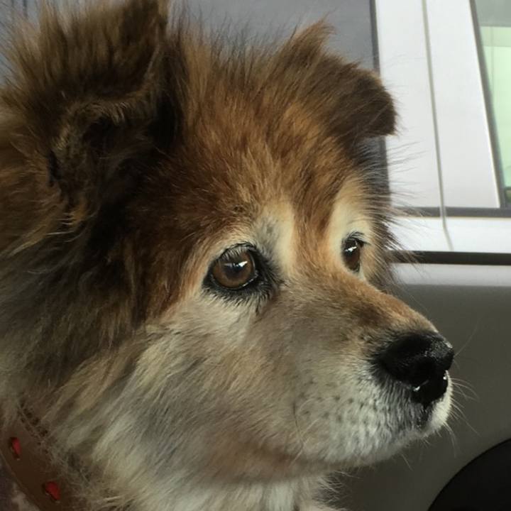 Bdcaf595 4642 4e8f 90c6 4c8edd9b0713 1594566572363