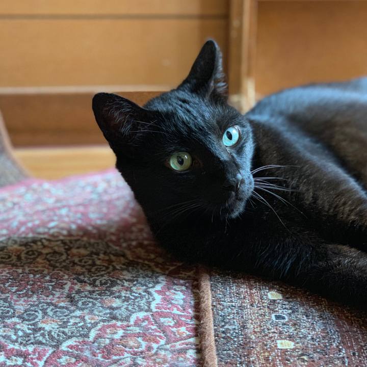 Bdcb269a 9abd 4b24 b8f5 fd46666e63ed 1562805845953