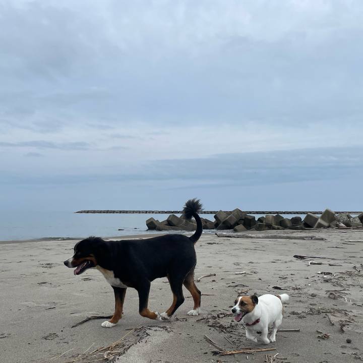 Bdcb283f 361e 4d66 a066 7548347861a8 1720743132146