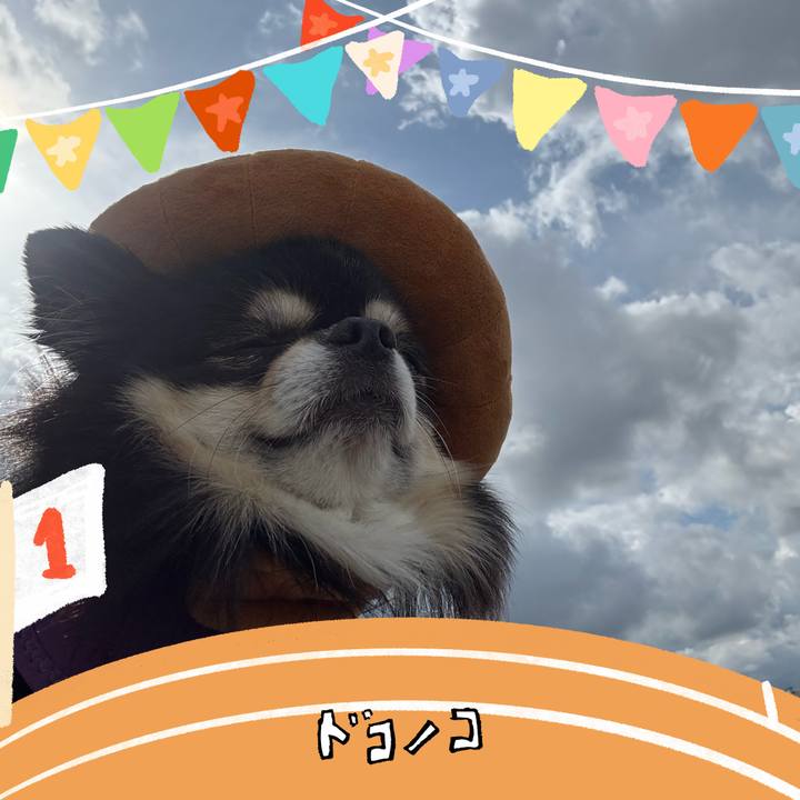 Bdcb3b9f 112f 4560 b1d5 3fa579c4a421 1761963709146