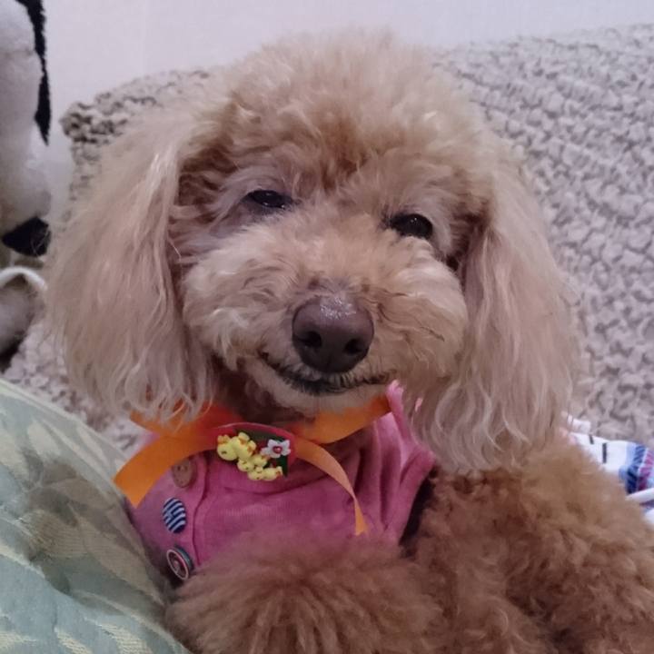 Bdcb82ca ad09 4ad3 a5ba 9a78478ce46e 1525089849529