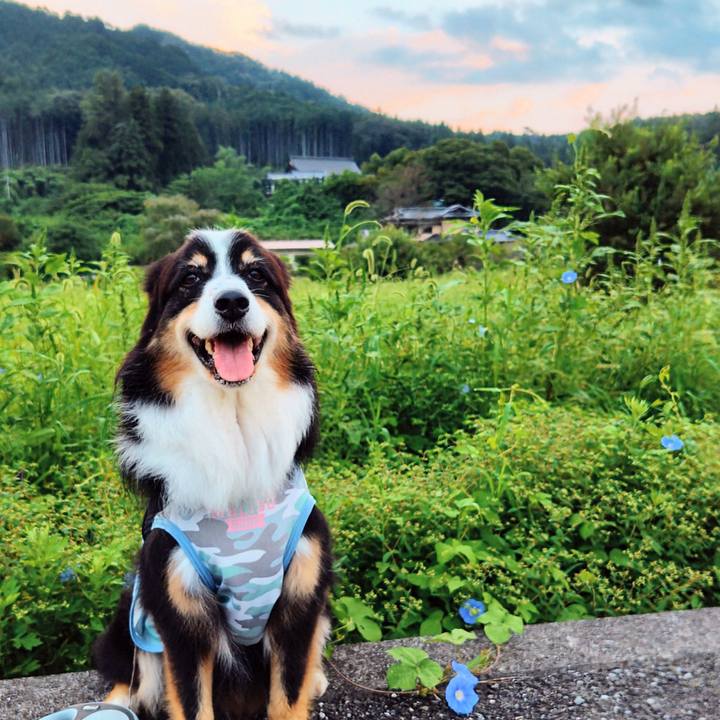 Bdcbc6b1 141d 4c3d 844d 5b2aa8320056 1758367591666