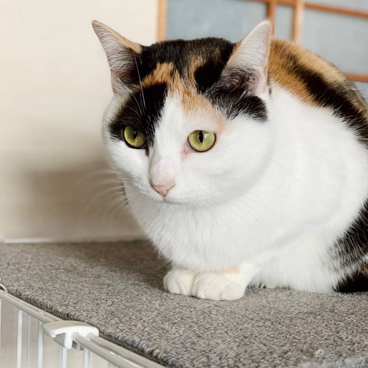 Bdcbe03b 9e8d 44b3 969c 4b497912e8de 1552441048304