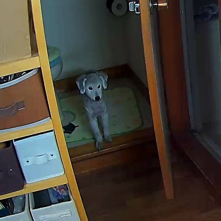 Bdcc02c7 cb5e 4525 aaff 506b24f62186 1598499263841