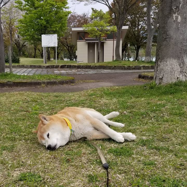 Bdcc22e5 484a 438e 9645 d6ccaf2a5af2 1682409296652